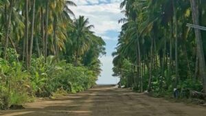 ރާއްޖެ ގެނައި 5000 ރުއް އަންނަ ހަފްތާގައި ރަށްރަށަށް ބަހަން ފަށާނެ