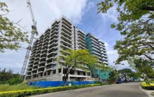 ކޭ-ޕަކް ފްލެޓްތައް މިއަހަރު ތެރޭ ދިނުމަށް މަސައްކަތްކުރަނީ