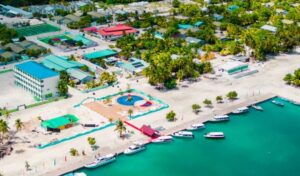 ކޮޅުފުށީގައި ތުއްތު ކުއްޖަކު ގެނބިގެން ނިޔާވެއްޖެ