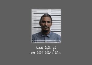 ފޯޖަރީ މައްސަލައިގެ ތަހުގީގަށް ސްޓެޕް އައްޔަ ހޯދަނީ
