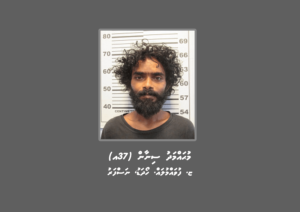 ކުށެއްކުރުމުގެ އާލާތެއް އަތުގައި ބެހެއްޓުމުގެ ކުށުގައި މީހަކު ހޯދަނީ