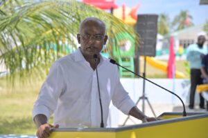 ހަމަޖެހުން ނަގާލައިގެން ލިބޭނެ މޮޅެއްނެތް، އިންތިޚާބު ކާމިޔާބުކުރެވޭނީ ވޯޓުން: ރައީސް