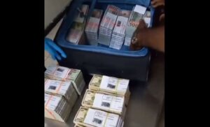 ދައުރުވަނީ ބޭންކަކުން އެތެރެކުރި ޑޮލަރުތަކެއްގެ ވީޑިއޯ: ކަސްޓަމްސް