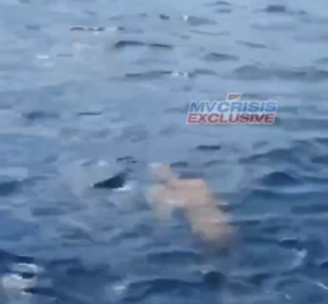 ހުޅުލޭ ބޭރު ކަނޑުގެ ސަރަހައްދުން މަރުވެފައި އޮތް މީހަކު ފެނިއްޖެ