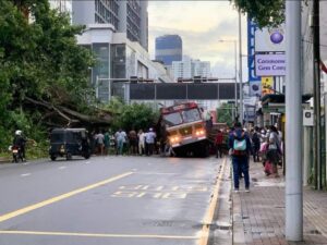 ލަންކާގައި ބޮޑު ގަހެއް ވެއްޓި 5 މީހުން މަރުވެއްޖެ