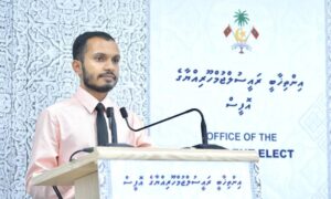 ބައެއް މުއައްސަސާތަކުގެ ޚާއްސަ އޮޑިޓެއް ހަދަން އެދެނީ