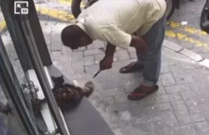 މާލޭ މަގުމަތިން ބުޅަލެއްގެ ބަނޑަށް ވަޅި ހެރި މީހަކު ހައްޔަރުކޮށްފި