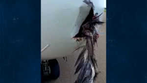 ދަރަންވަންދޫއަށް ޖެއްސި މަންތާ އެއަރގެ ފްލައިޓެއްގައި މާކަނާއެއް ޖެހި ބޮޑެތި ގެއްލުންތަކެއް ވެއްޖެ