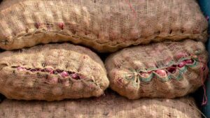 އަންނަ އަހަރުގެ މާރޗް މަހުގެ ނިޔަލަށް އިންޑިއާއިން ފިޔާ އެކްސްޕޯޓު ކުރުން މަނާކޮށްފި