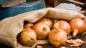 ފިޔާ އަގު ބޮޑުކޮށް ނުވިއްކުމަށް އިލްތިމާސް ކޮށްފި