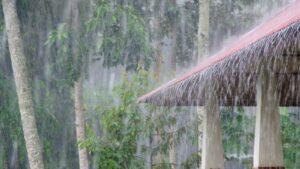 ބޯކޮށް ވާރޭވެހޭނެކަމަށް ލަފާކޮށް، އައްޑުއާއި ފުވައްމުލަކަށް އޮރޭންޖް އެލާރޓް ނެރެފި