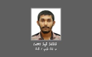މަސްތުވާތަކެތި ޓްރެފިކް ކުރުމުގެ ތުހުމަތުގައި މީހަކު ހޯދަނީ