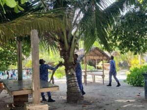 މާރާމާރީ ހިންގުމަށް ބޭނުންކުރާ ތަކެތި އައްޑޫ ސިޓީ ހިތަދޫ އިން ހޯދައިފި