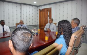 ބޯންމެރޯ ހެދުމަށް އިތުރު ދެ ކުއްޖަކު ޖެނުއަރީ މަހު ފުރުވާލަނީ