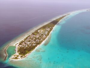 ދިގުރަށު ކުނިގޮނޑުން ފެނުނު ކުއްޖާގެ މައްސަލައިގައި ހައްޔަރު ކުރި މީހާއަށް ދައުވާކޮށްފި