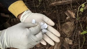 މަސްތުވާތަކެތީގެ މައްސަލަތަކެއްގައި ފަސްމީހަކު ހައްޔަރުކޮށްފި