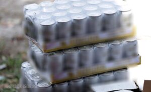 ގއ. ވިލިނގިލި ޕޮލިސް ސްޓޭޝަނުގެ ބެލުމުގެ ދަށުގައިހުރި ބަނގުރާ ނައްތާލައިފި