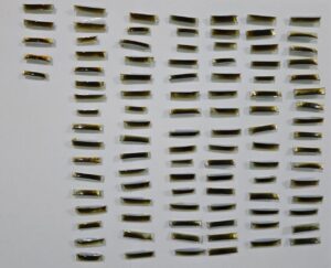 މަސްތުވާތަކެތީގެ މައްސަލައެއްގައި ވެލިދޫން މީހަކު ހައްޔަރުކޮށްފި