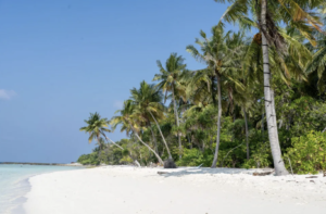 25 ފަޅު ރަށެއް ކައުންސިލްތަކަށް ދޫކުރަން ނިންމައިފި