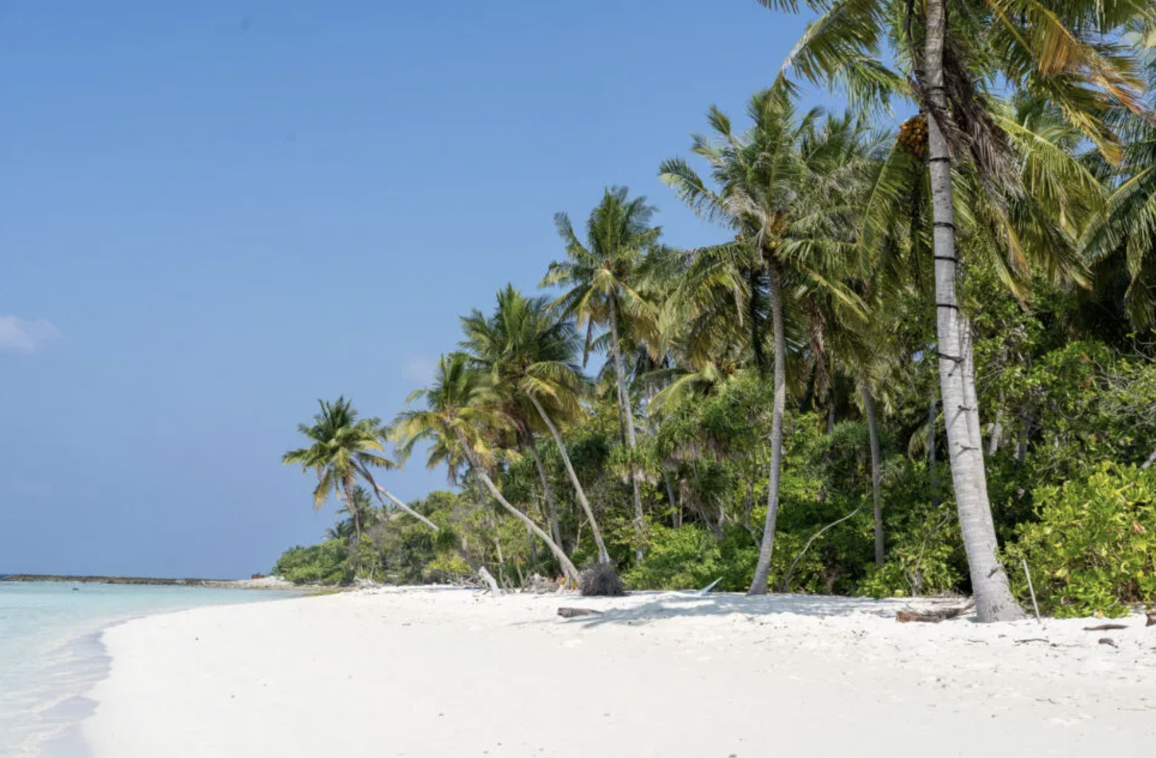 25 ފަޅު ރަށެއް ކައުންސިލްތަކަށް ދޫކުރަން ނިންމައިފި