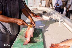 ހުޅުމާލޭ ދެވަނަ ފިޔަވަހީގައި ރޯދަމަށް ޚާއްސަ މަސް މާރުކޭޓެއް ހުޅުވައިފި