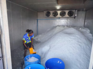 ކުރީ ސަރުކާރުން ހަވާލުކުރި އައިސްޕްލާންޓުތަކުގެ ތެރެއިން މަސައްކަތް ކުރިއަށްނުދާ ޕްލާންޓުތަކުގެ އެއްބަސްވުންތައް ބާތިލް ކޮށްފި