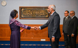 ރައީސްގެ މަގާމުގެ މަސްއޫލިއްޔަތުތަކާއި ގުޅޭގޮތުން ނިންމާ ނިންމުންތަކާ ދެކޮޅަށް ކައުންސިލުތަކަށް ބަޔާން ނުނެރެވޭނެ: އެލްޖީއޭ