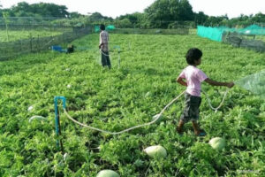 26 ރަށެއްގެ ދަނޑުވެރިންނަށް އަމާޒުކޮށް 15 މިލިއަން ރުފިޔާގެ ގްރާންޓް ސްކީމެއް ފަށަނީ