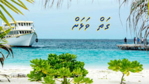 ކުރު ވާހަކަ: ގަތް ވަޅަށް
