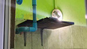 ދަރުމަވަންތަ މިސްކިތުގެ ފެން މޯޓަރު ވަގަށްނެގި މައްސަލަ ފުލުހުން ދަނީ ތަހުގީގު ކުރަމުން