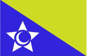 ޕީއެންއެފްގެ ލޯގޯއާއި ދިދަ އާންމު ކޮށްފި