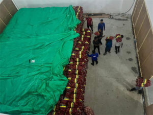 ޗައިނާގެ ޗެމްބަރ އޮފް ކޮމާސްއިން ހަދިޔާ ކުރި ފިޔާ ބަހައިފި