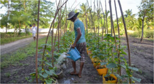 ދަނޑުވެރިންނަށް ހިލޭ އެހީ ދޭ ސްކީމެއް އިއުލާންކޮށްފި