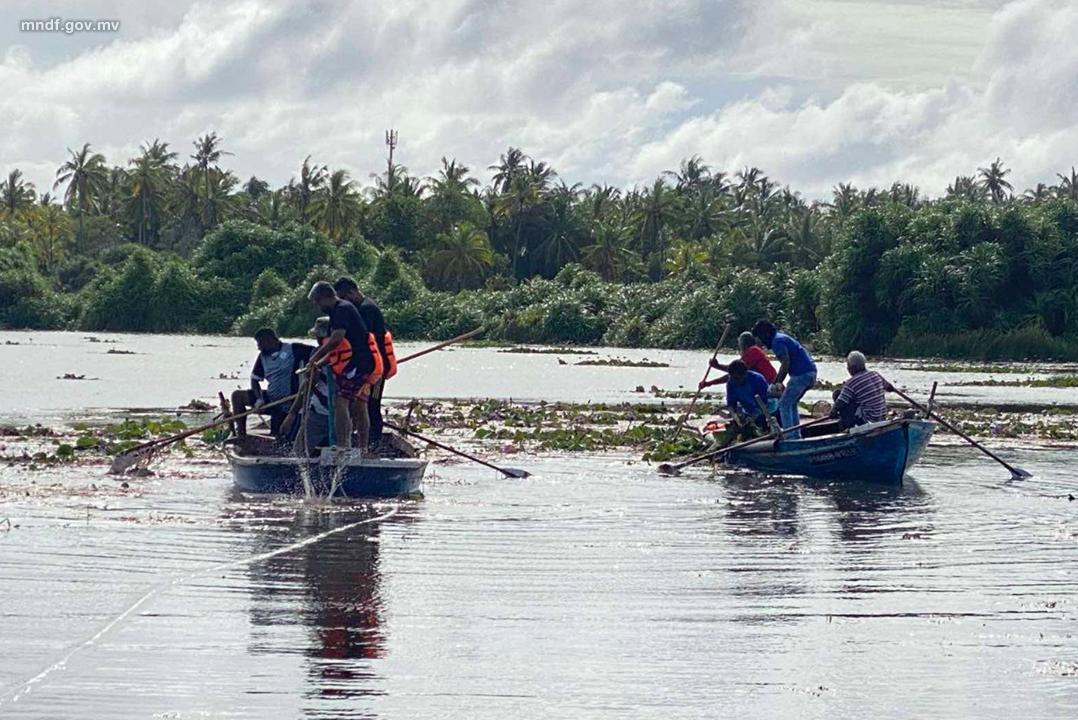 އެމްއެންޑީއެފްއިން ފުވައްމުލަކު ސިޓީގެ ބަންޑާރަކިޅި ސާފުކުރުމުގައި ބައިވެރިވެއްޖެ