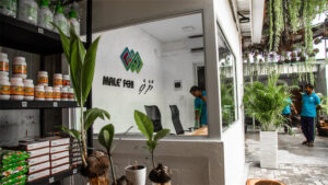 ޚަރަދު ކުޑަކުރުމަށް މާލޭ ސިޓީ ކައުންސިލްގެ ގަސް ފިހާރަތައް ހުޅުމާލެއަށް ބަދަލު ކޮށްފި