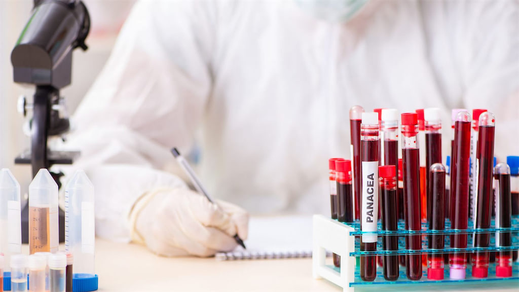 ބޯންމެރޯ ޓްރާންސްޕްލާންޓް މެޗް ޓެސްޓް ރާއްޖޭގައި ހަދަން ފަށައިފި