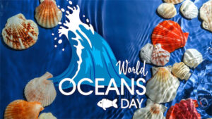 ބައިނަލްއަޤްވާމީ ކަނޑުތަކުގެ ދުވަސް މިއަހަރު ކުލަގަދަކޮށް ފާހަގަ ކުރަނީ