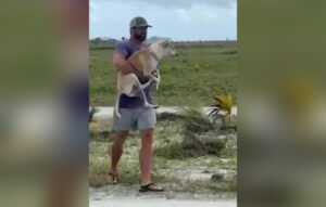 ފަތުރުވެރިންތަކެއް ގެނައި ކުއްތާއެއް ތުލުސްދޫ އަށް ބާލައިފި