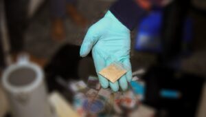 މަސްތުވާތަކެތީގެ މައްސަލައެއްގައި ހުޅުމާލެ ފޭސް 2 އިން މީހަކު ހައްޔަރުކޮށްފި