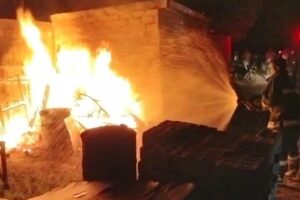 ނައިފަރު ސިނާއީ ސަރަހައްދުގައި ރޯވި އަލިފާން އެމްއެންޑީއެފްއިން ނިއްވާލައިފި