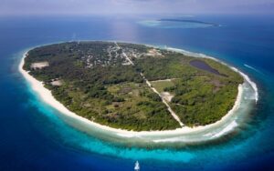 ހދ. ނޮޅިވަރަމުގައި ސައިކަލާއެކު މޫދަށް ވެއްޓި މީހަކު މަރުވެއްޖެ