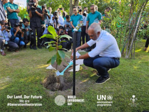 ފަސް މިލިއަން ގަސް އިންދުމުގެ ޕްރޮގްރާމް ރައީސް ފައްޓަވައި ދެއްވައިފި