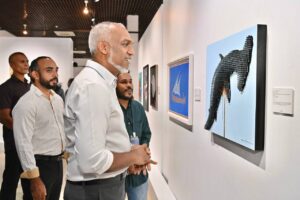 ބައިނަލްއަގުވާމީ ފެންވަރުގެ އާޓް ސްކޫލެއް އެޅުމުގެ މަސައްކަތް ކުރިއަށް އެބަދޭ: އަސްވާޑު