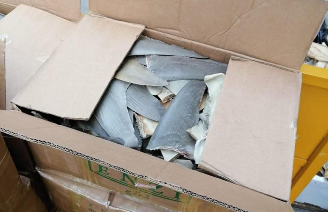 މިޔަރު އުރަހަ ބޭރުކުރަން އުޅުނު މީހަކު 50،000 ރުފިޔާއިން ޖޫރިމަނާ ކޮށްފި