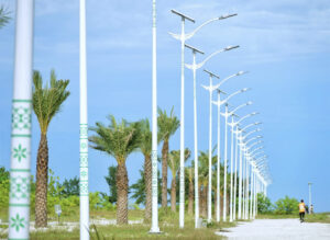 ޗައިނާއިން ހިންމަފުށީގެ މަގުބައްތި ޖަހައިދީފި