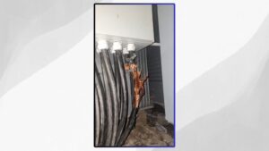 ސްޓެލްކޯގެ ޓްރާންސްފޯމަރަކުން ވައްކަން ކުރަން އުޅުނު މީހާގެ ވަނަވަރު ހާމަކޮށްފި