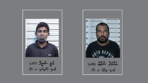 ލ. ގަމުގައި ބޮގަރު ކައްކާކަމުގެ ތުހުމަތުގައި ހައްޔަރުކުރި ދެ މީހުންގެ ވަނަވަރު ފުލުހުން ހާމަކޮށްފި
