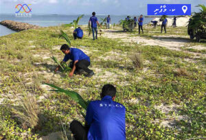 ސްޓެލްކޯއިން މިހާތަނަށް 30,000 އަށްވުރެ ގިނަ ގަސް އިންދައިފި