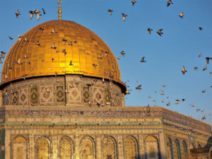 އަލްއަޤްޞާ މިސްކިތަށް އިޒްރޭލުން ވަދެގަތުން ދިވެހި ސަރުކާރުން ކުށްވެރިކޮށްފި