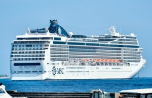 ރާއްޖެއަށް ޒިޔާރަތްކުރާ ބޭރުގެ ފަތުރުވެރިކަމުގެ އުޅަނދުތަކުގެ އޭޖެންޓުކަން ދެން ކުރެވޭނީ ހަމައެކަނި ދިވެހިންނަށް